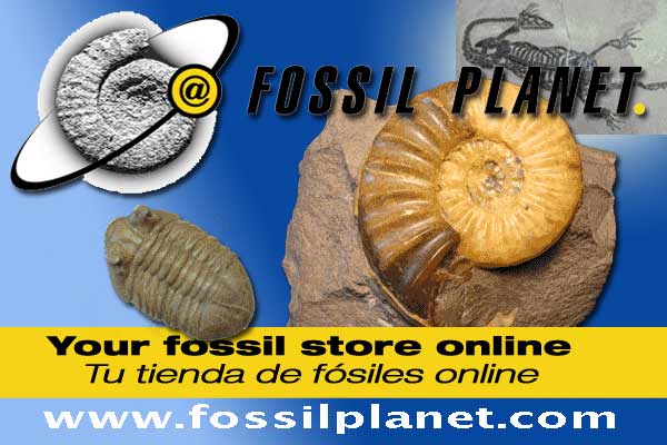 fossilplanet